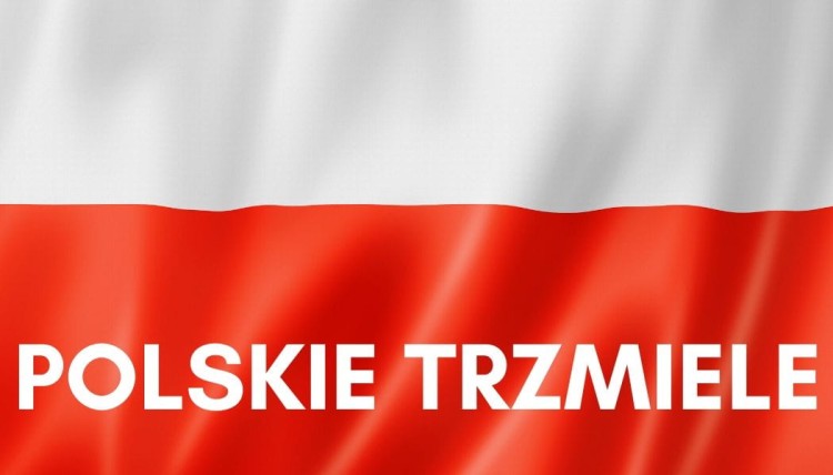Polskie Trzmiele (1).jpg